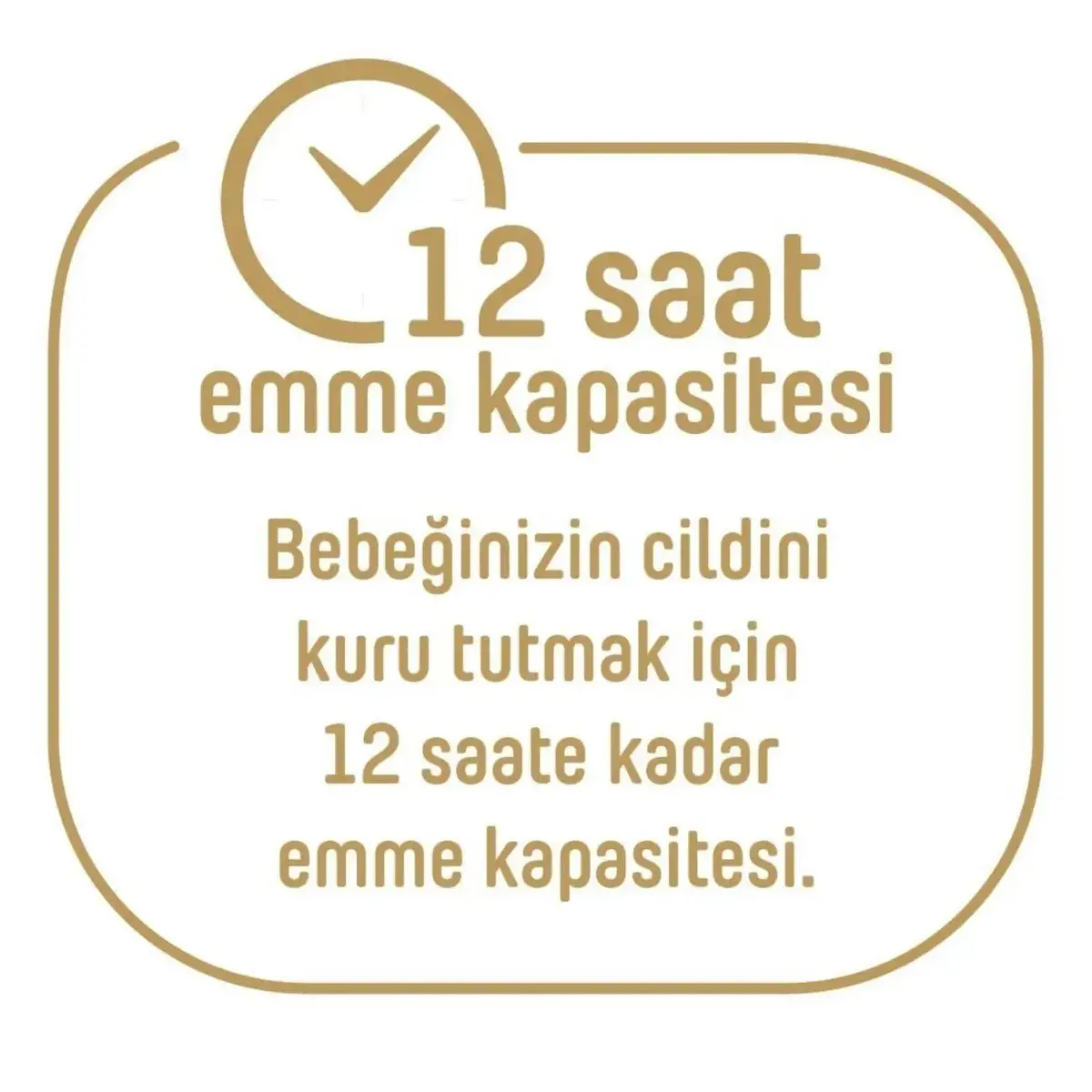 Pure Baby Organik Bebek Bezi 6 Beden XL 60lı Islak Mendil Hediyeli