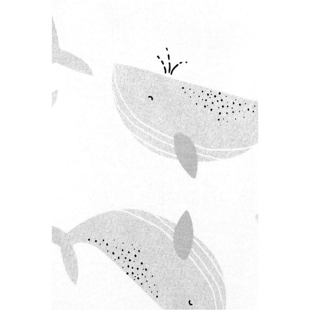 Carter's Body Takımı Çok Renkli