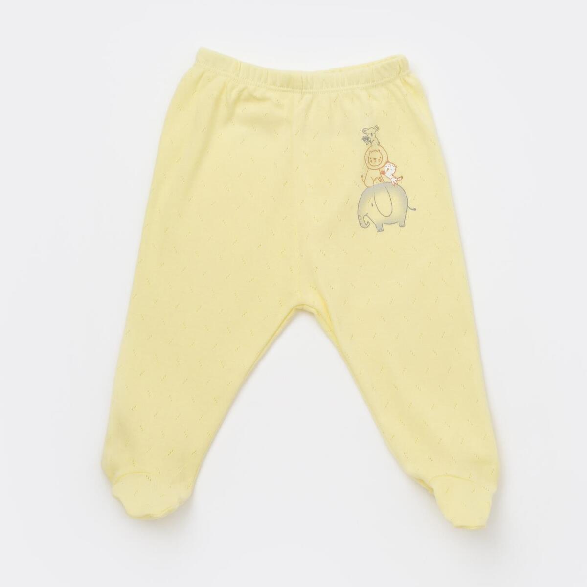 Bibaby Pantolon Patikli Hello Safari Limon