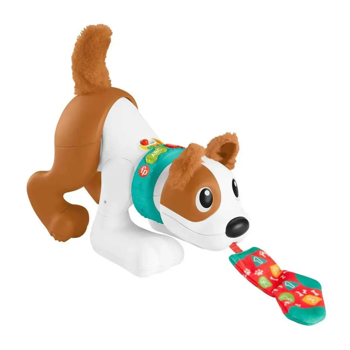 Emeklemeyi ve Saymayı Öğreten Köpekçik