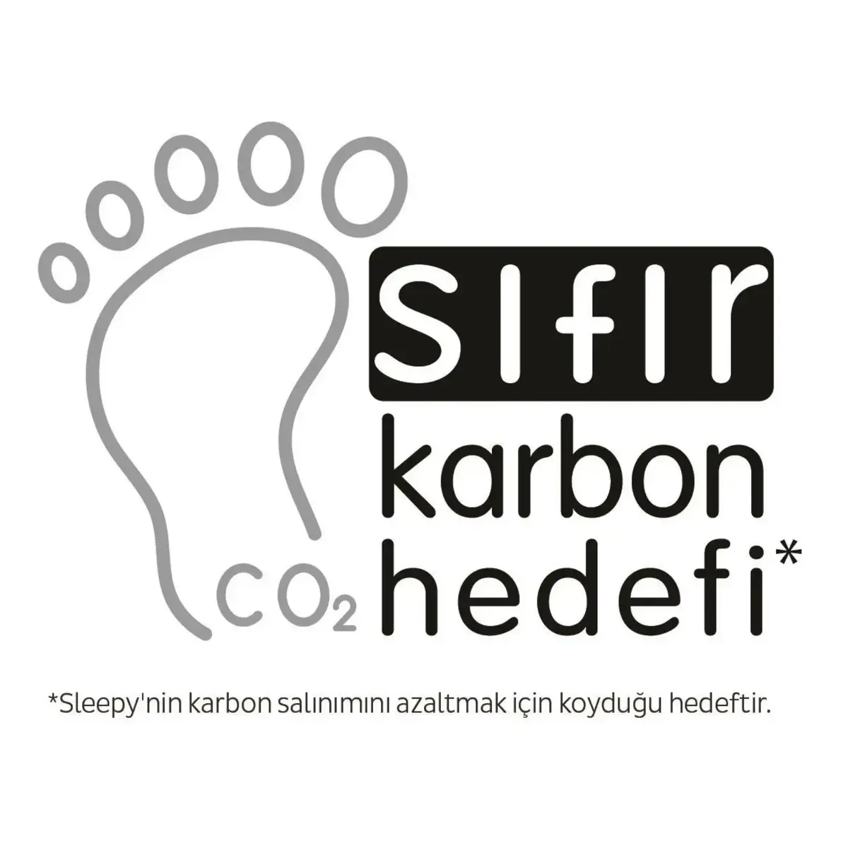 Sleepy Bebek Bakım Örtüsü 10lu 60x90 cm