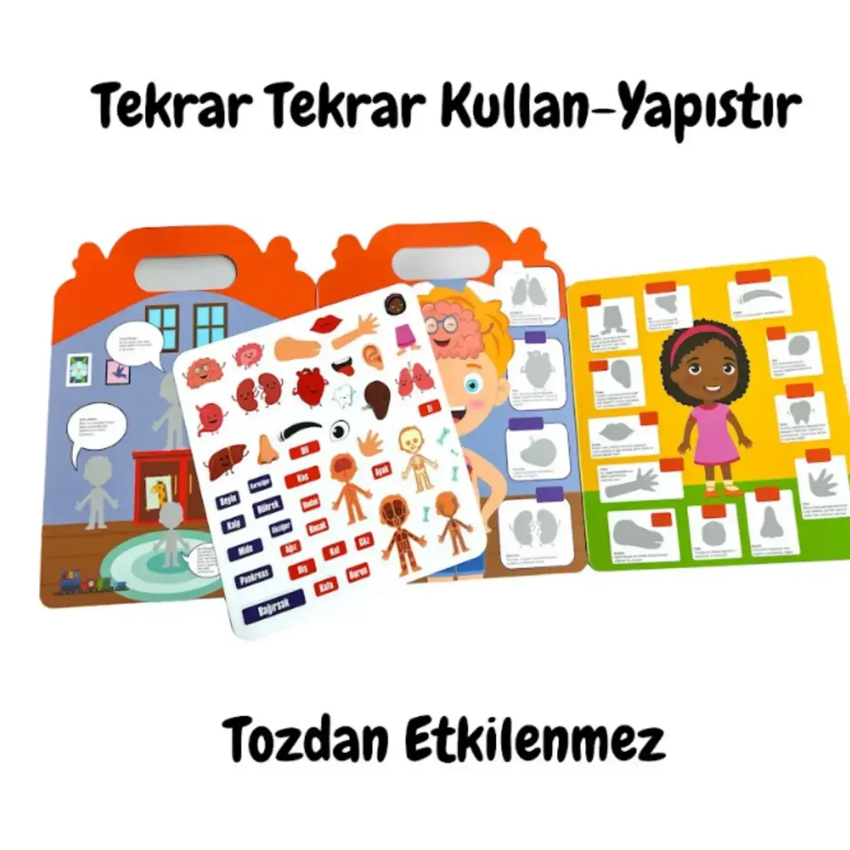 Lino Tekrar Tekrar Kullanılabilen İlk Sticker Kitabım My Body