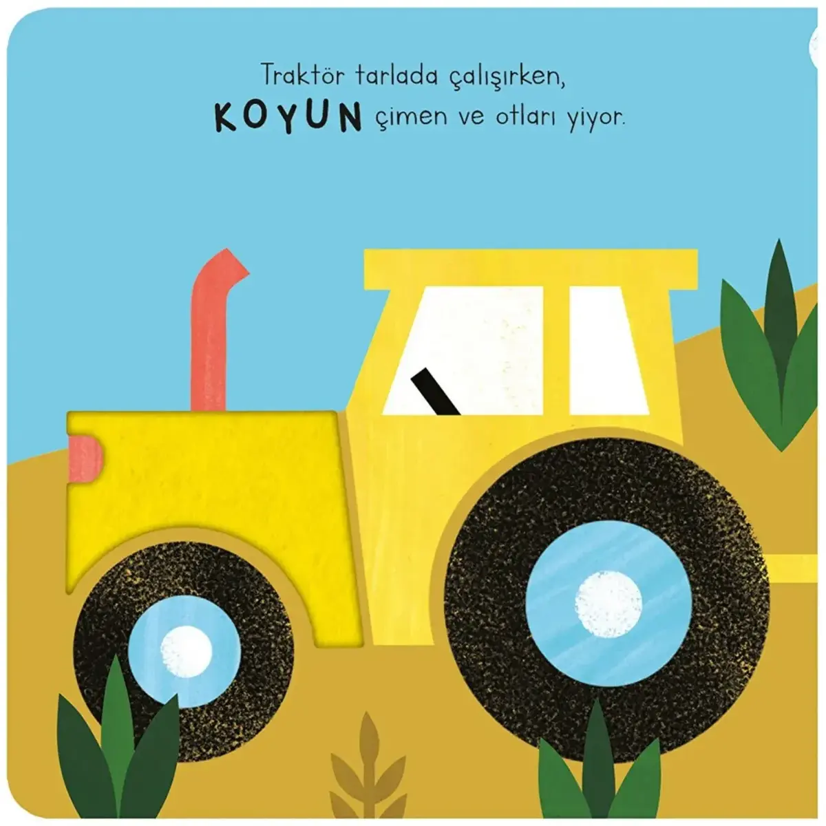 Dokun&Hisset&Bul - Çiftlik Hayvanları