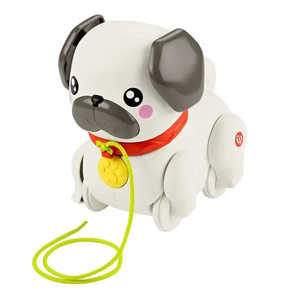 Fisher-Price  Minik Dostumla Yürüyüş
