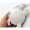 Babyjem Çıngıraklı Kaplumbağa Kahve