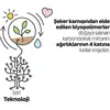 Sleepy Bebek Bezi Bio Natural 5 Numara Junior 40lı Jumbo Paket