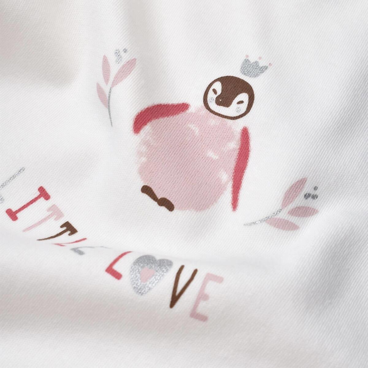 Bibaby Organik Zıbın Takımı Battaniyeli Tüllü Little Love Rose Dry