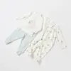 Bibaby Organik Hastane Çıkışı 10lu Pretty Ears Bunny Mint - Ekru