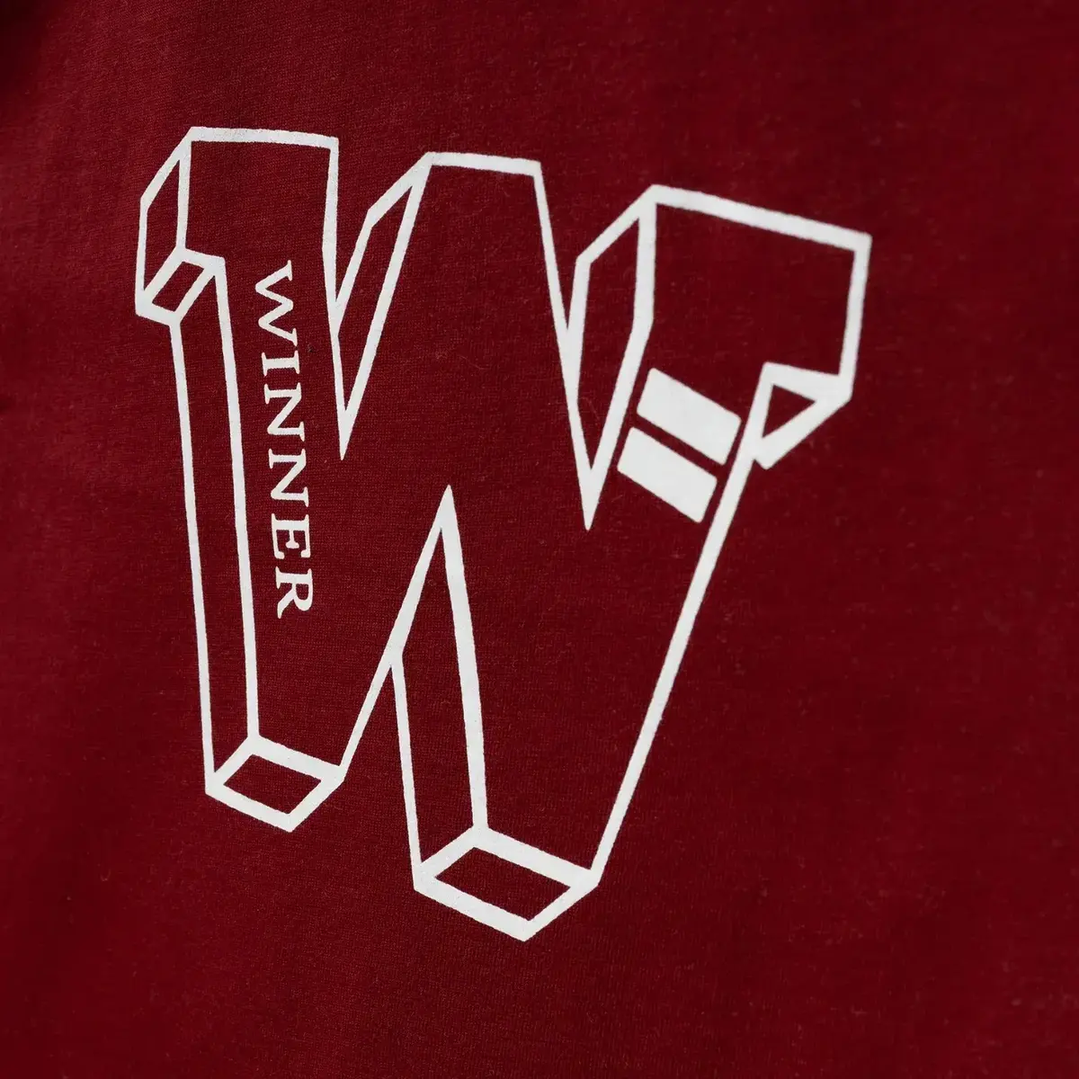Winimo T-Shirt W Baskılı Bordo