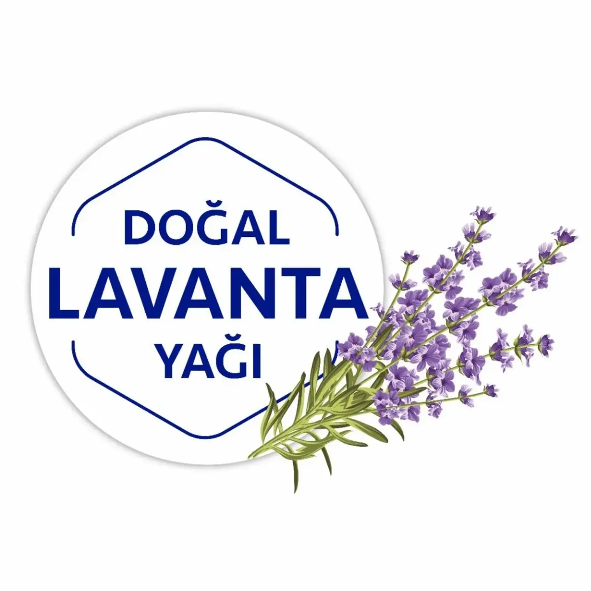 Clear Motion Yer Temizlik Havlusu Doğal Limon Yağı Mop Uyumlu 50li
