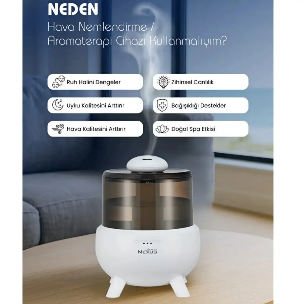 Direct Nexus Buhar Makinesi/Humidifier