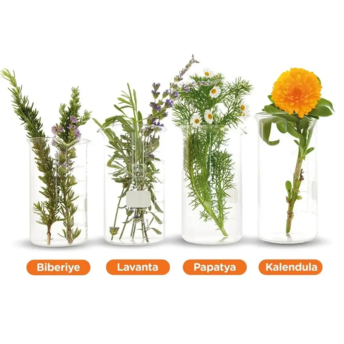 Bio-Oil Çatlak Karşıtı & Nemlendirici Cilt Bakım Yağı Yeni Formül 125 ml