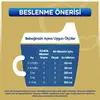 Bebelac Gold 1 Devam Sütü 350 gr 