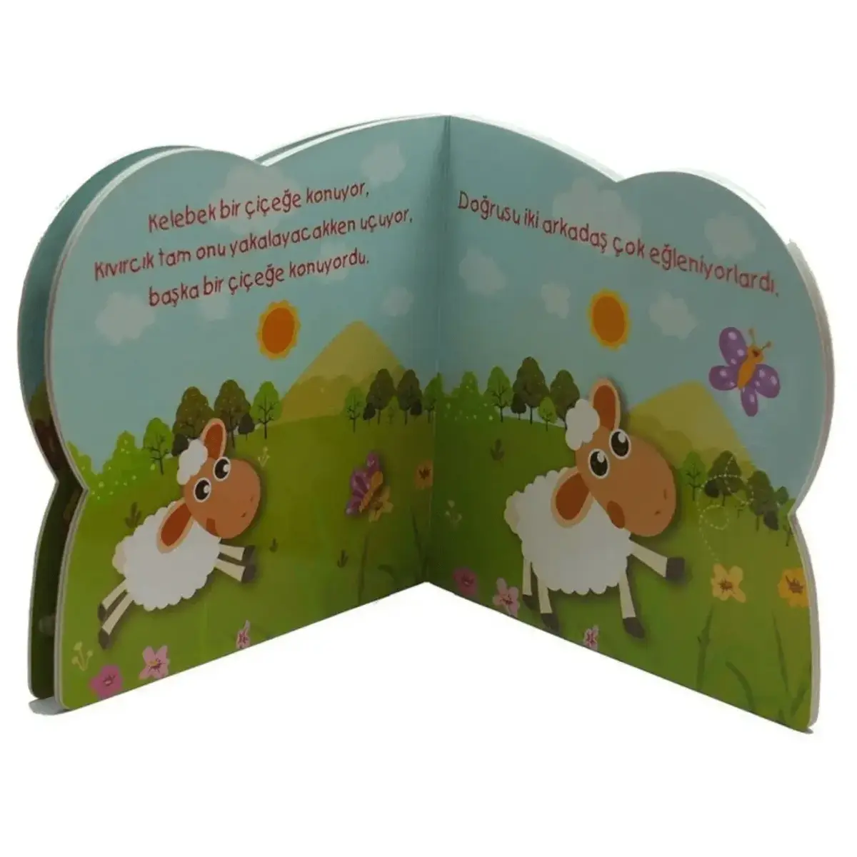 Sevimli Kuzu Kıvırcık