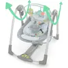 Ingenuity Swing & Go Taşınabilir Salıncak