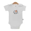 Bibaby Body Kısa Kol Bimini Circus Elephant Ekru - Mavi