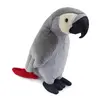 Papağan 35 cm
