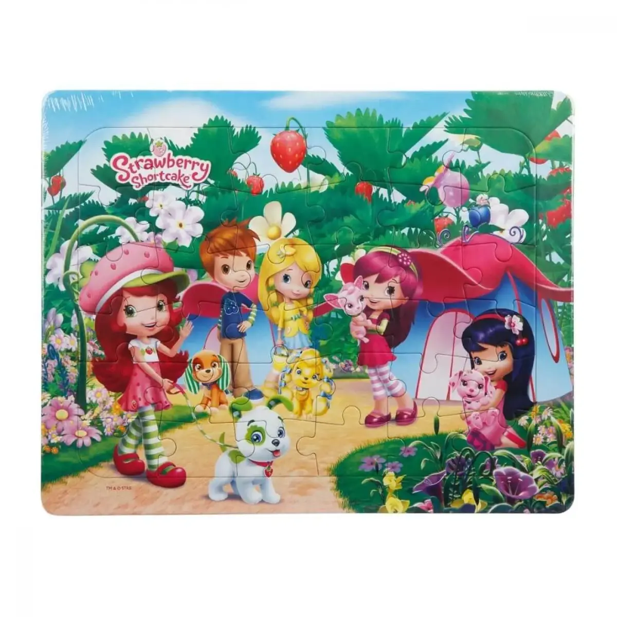 Frame Puzzle Strawberry Kamp 36 Parça
