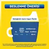Bebelac 2 Devam Sütü 800 Gr