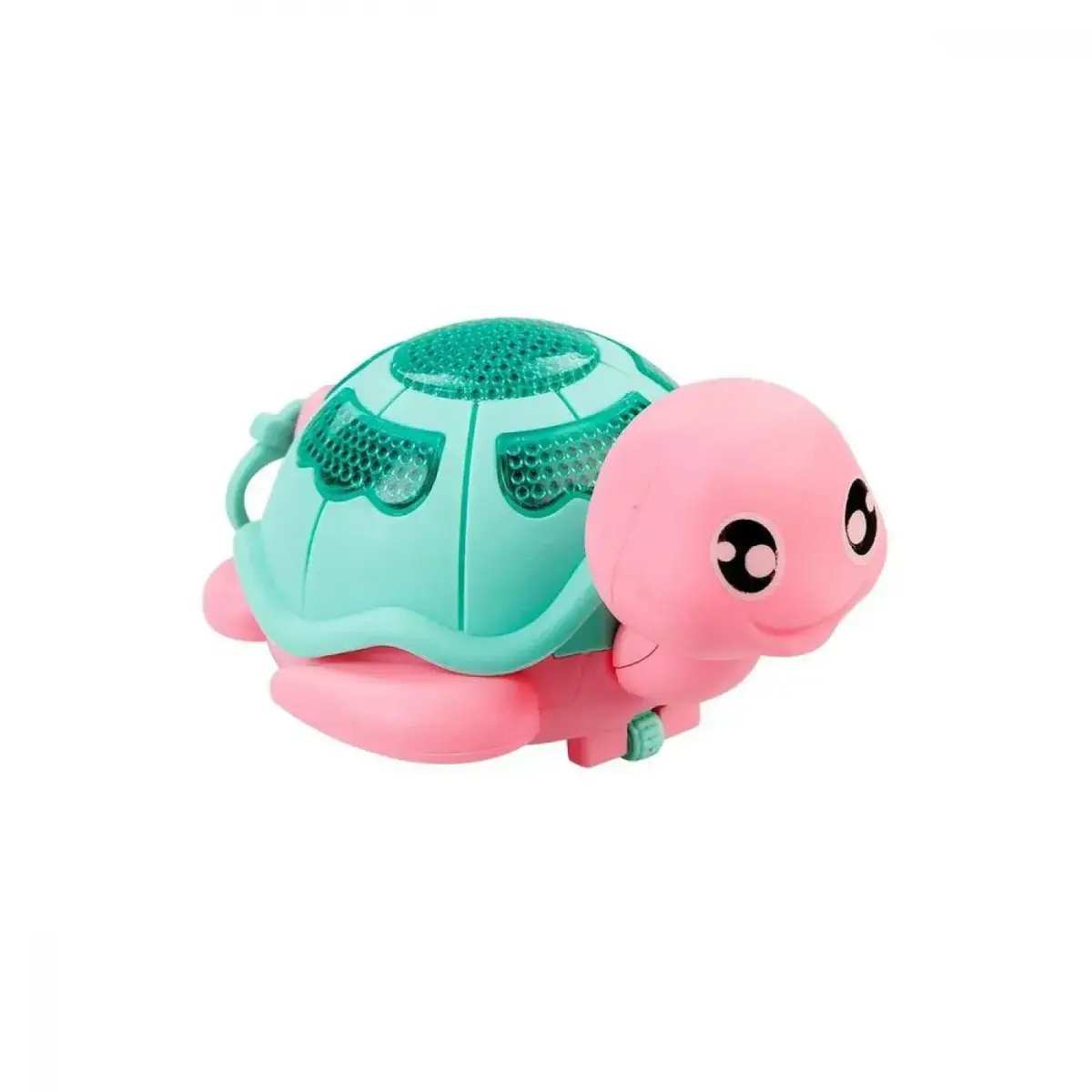 Displayde Pilli Sevimli Kaplumbağa