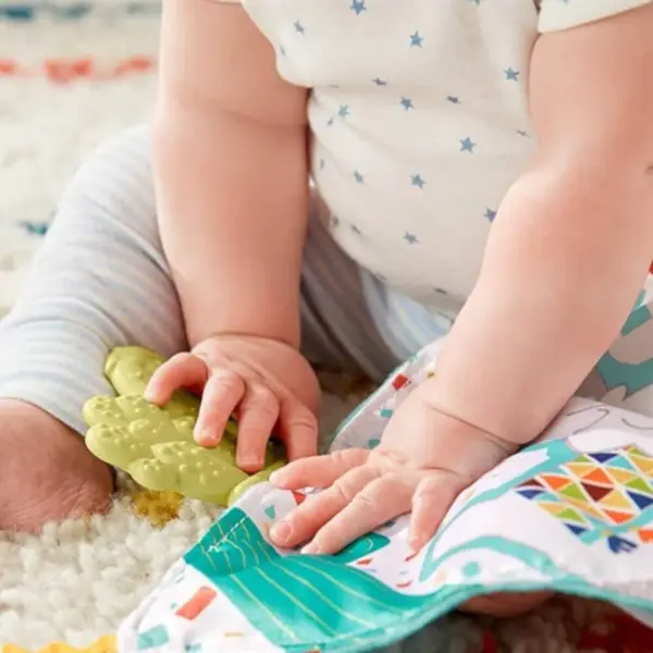 Fisher Price Dişlik Kaktüs