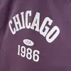 Winimo T-Shirt Chicago Baskılı Mor