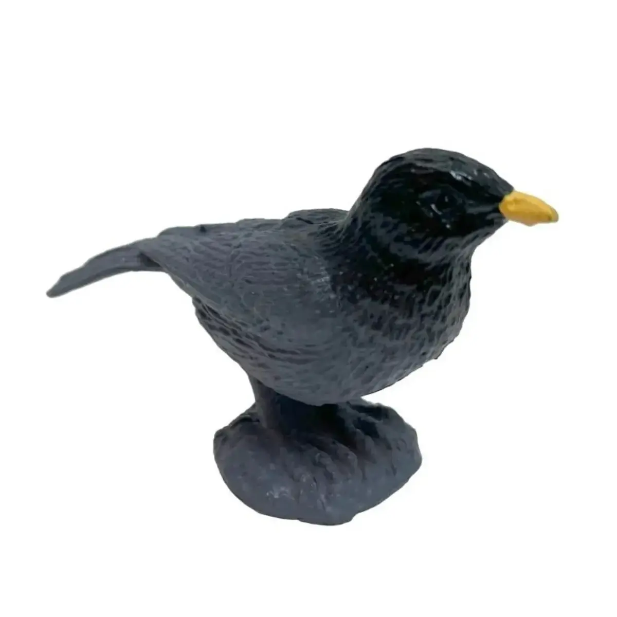 Silindir Kutuda Kuşlar