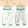 U.S Polo Pantolon Patiksiz 2li Yeşil