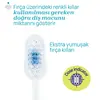 Chicco Diş Fırçası 3-6 Yaş Tiger-Panda 2'li