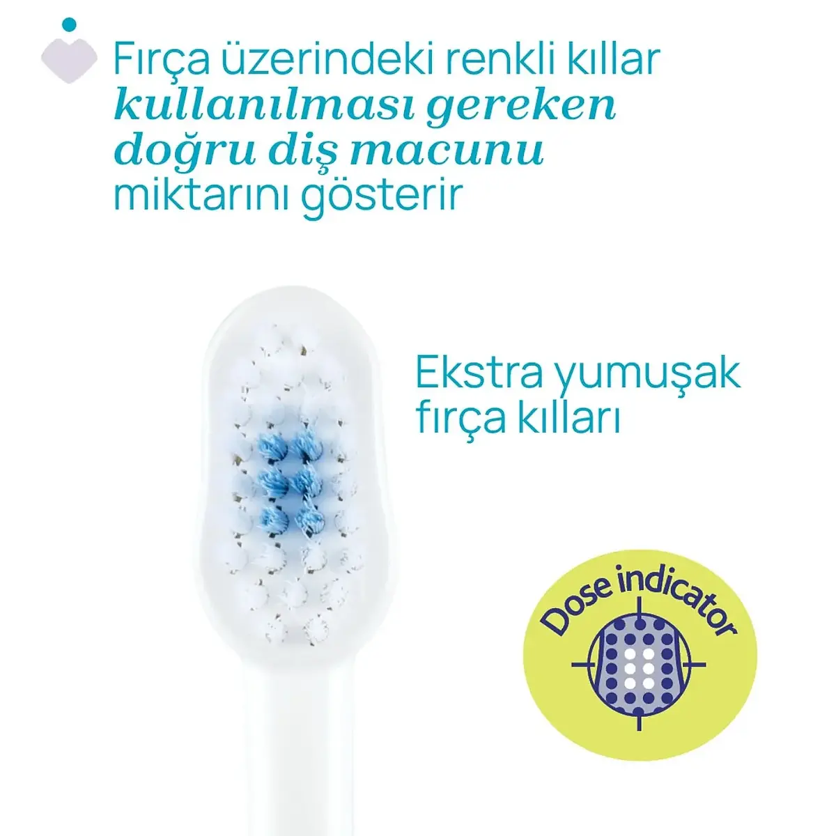 Chicco Diş Fırçası 3-6 Yaş Tiger-Panda 2'li