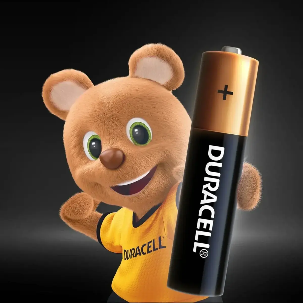 Duracell AA Kalem Pil 2li Kartela