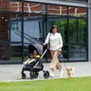 Chicco Trio Alysia I-Size Travel Sistem Bebek Arabası Black