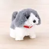 Toycraft Display Akıllı Köpek Sesli Pilli
