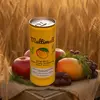 Multimalt Bitki Özlü %100 Elma,Mango Ve Malt Suyu 250 ml