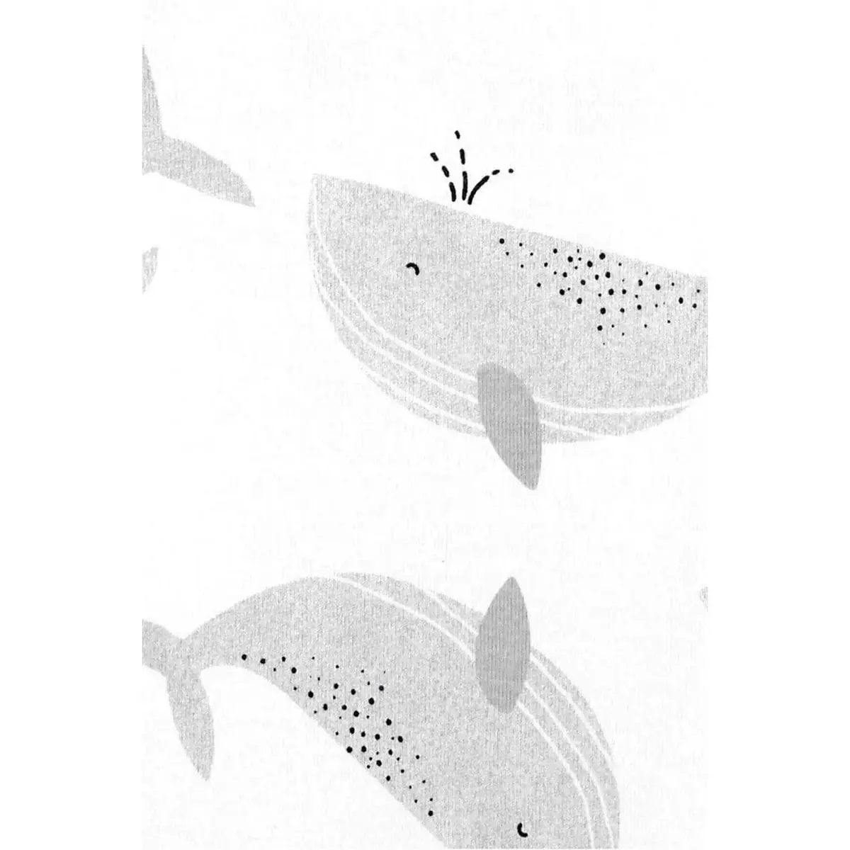 Carter's Body Takımı Çok Renkli