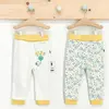 U.S Polo Pantolon Patiksiz 2li Sarı