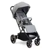 Chicco Dolomiti Bebek Arabası Pebble