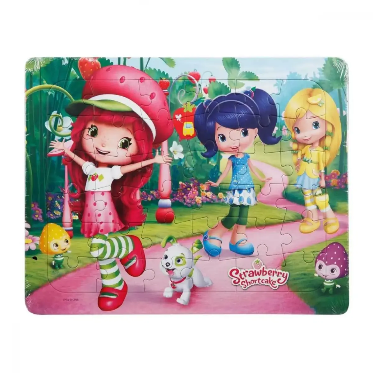 Frame Puzzle Strawberry Yürüyüşte 36 Parça