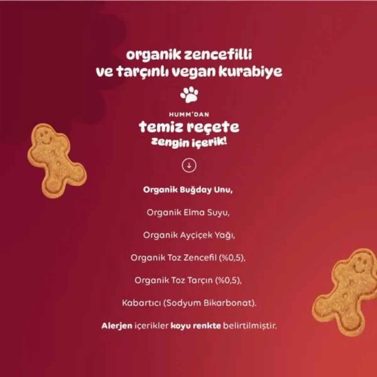 Humm Organic Tarçınlı ve Zencefilli Kurabiye 55 gr