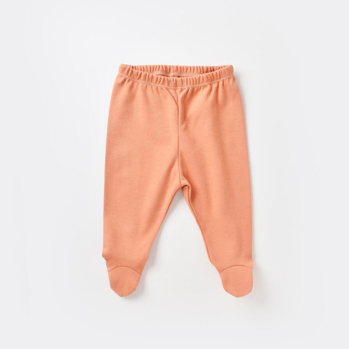 Bibaby Organik Zıbın Takımı Battaniyeli Tüllü Summer Fruit Light Cream Caramel