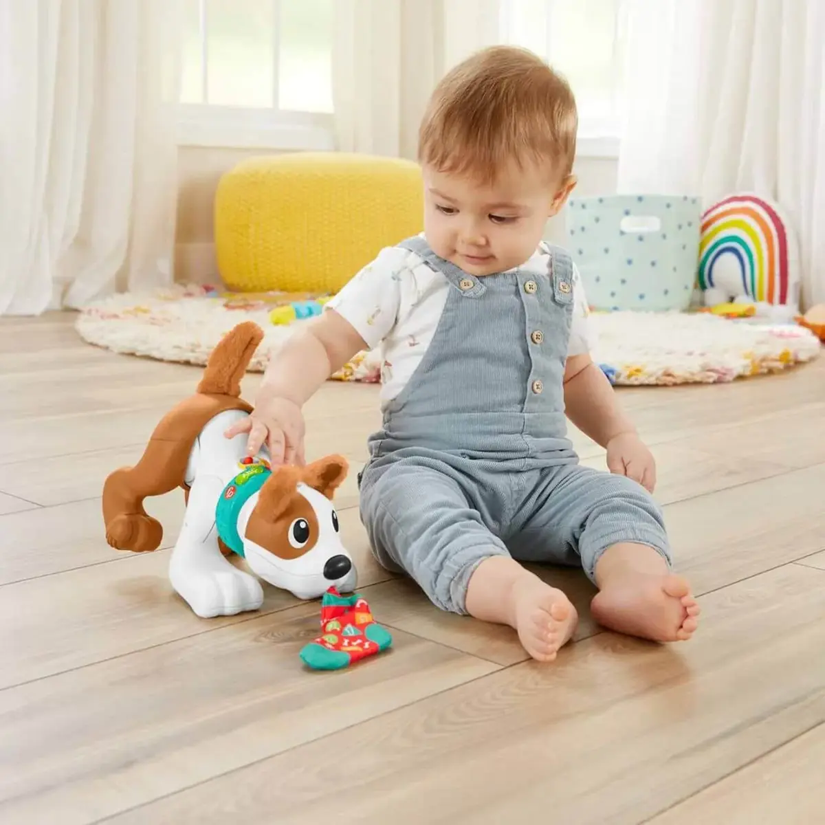 Emeklemeyi ve Saymayı Öğreten Köpekçik