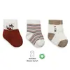 Bibaby Çorap Soket 3lü Bistyle Fox Penye Kiremit