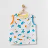 Andy Wawa T-Shirt Play Time Renkli