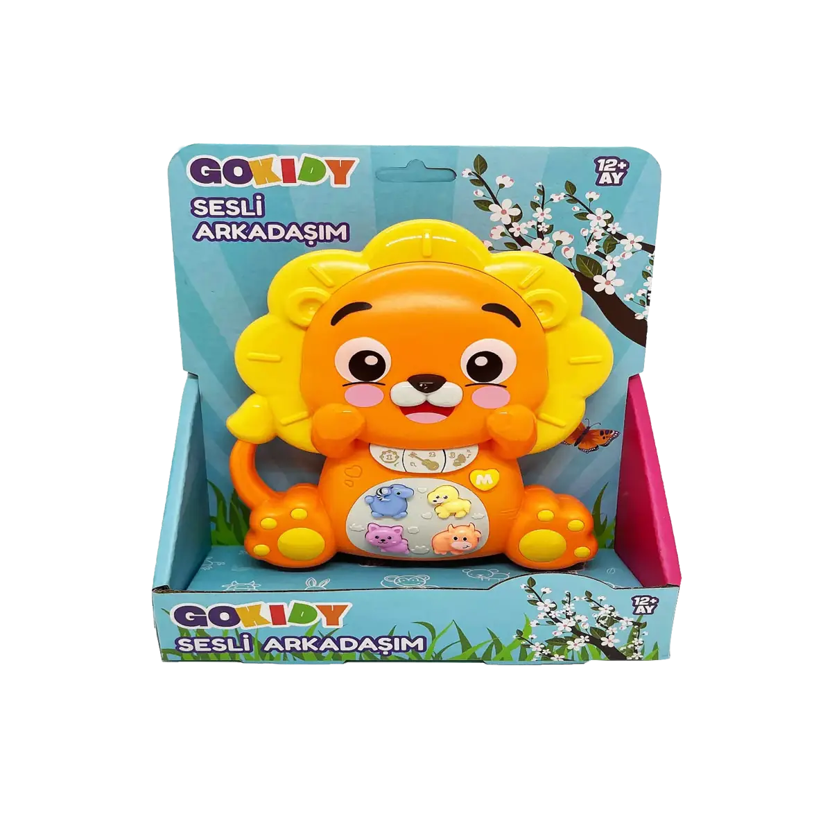 Gokidy Sesli Arkadaşım