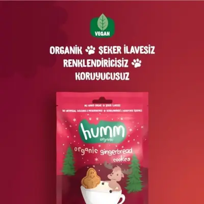 Humm Organic Tarçınlı ve Zencefilli Kurabiye 55 gr