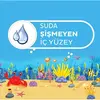 Sleepy Mayo Külot Bebek Bezi 4 Beden Maxi 4 - 14 kg 20li+Sebamed Bebek Güneş Kremi 50 Faktör 75 ml