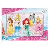 Princess Disney Frame Puzzle 24 Parça