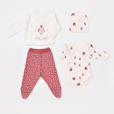 Bibaby Organik Zıbın Takımı Little Love Rose Dry Prematüre