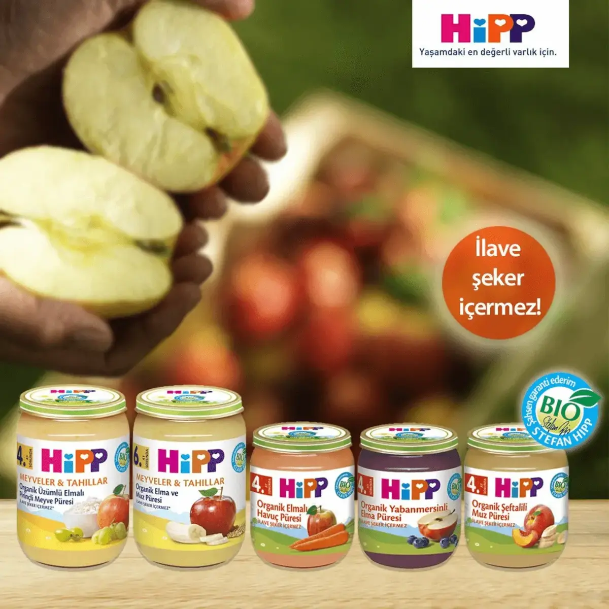 Hipp Organik Sebze Karışımı 125 gr x3