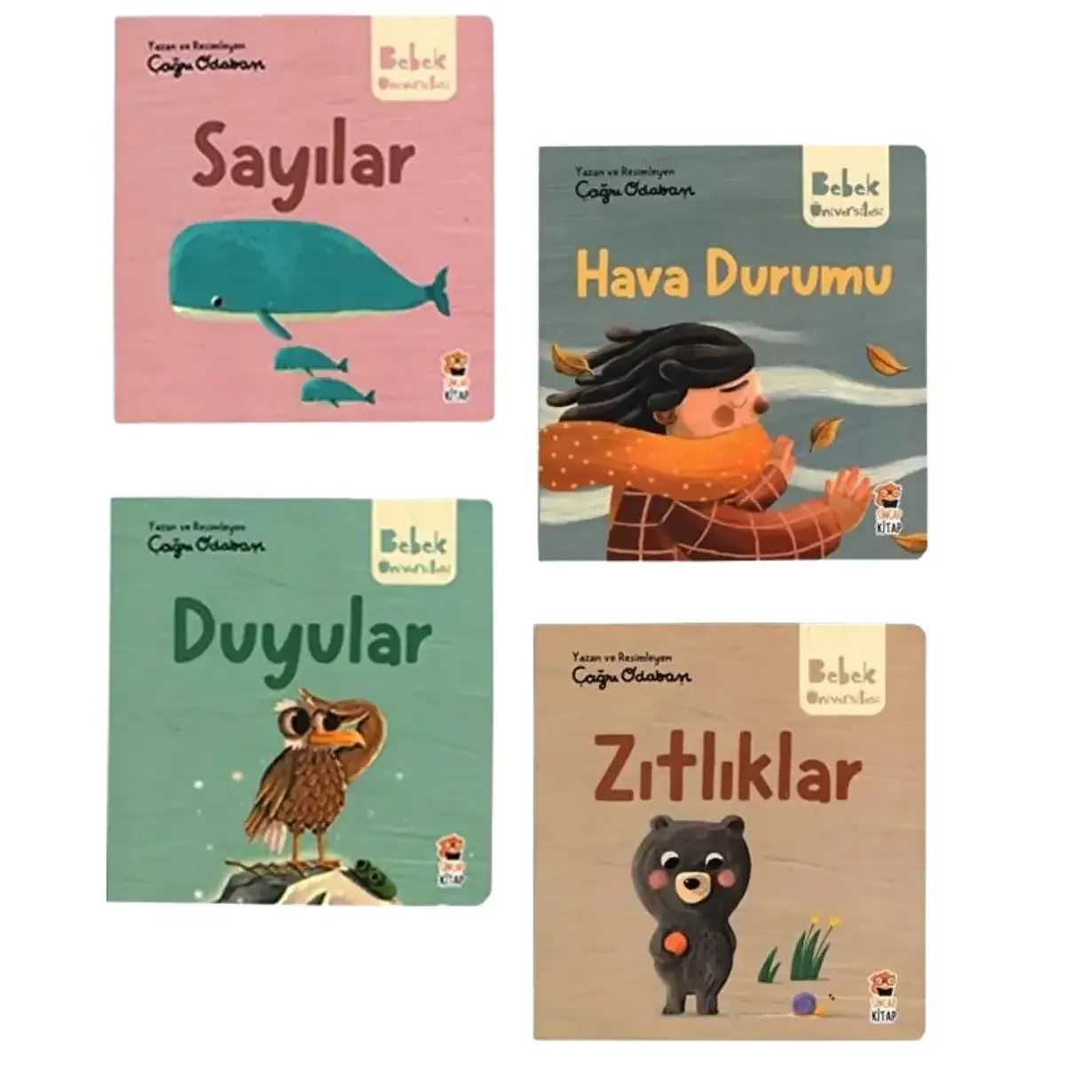 Bebek Üniversitesi 2- Hikayeli İlk Kavramlarım Set ( 4 Kitap)